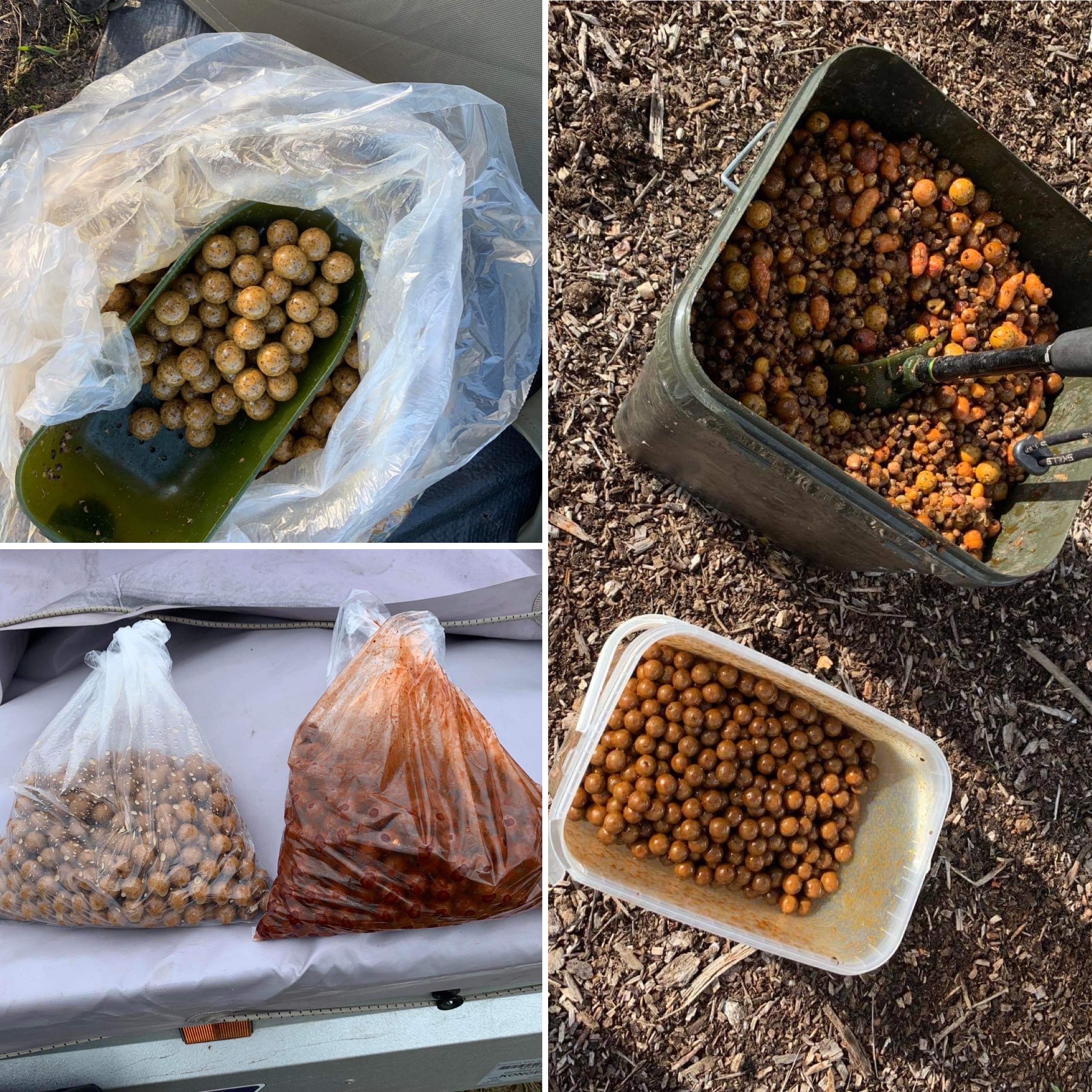 Boilies are supposed to get the carp hooked.